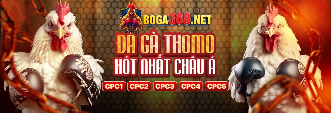 Kèo Phụ và Kèo Đặc Biệt